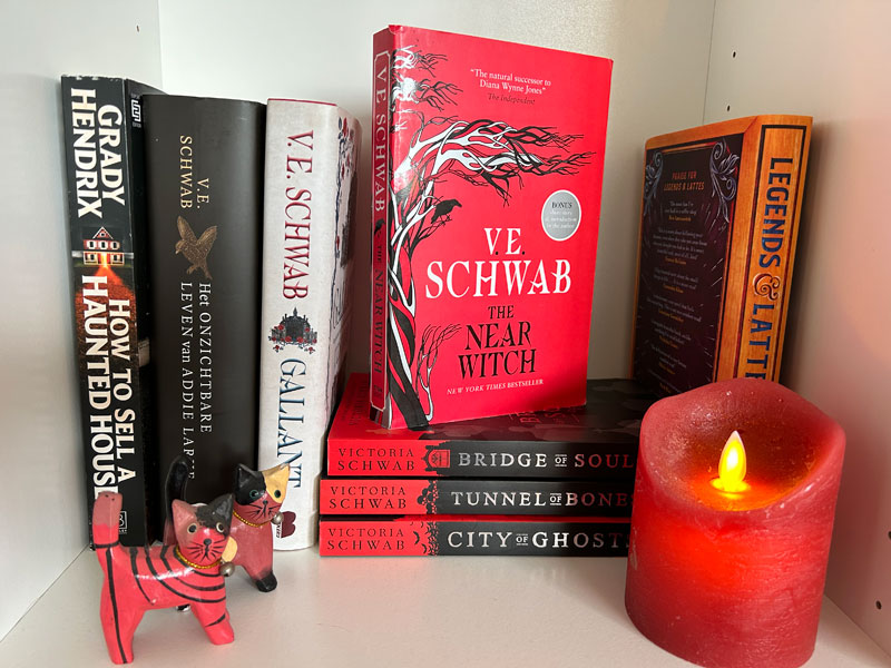 V.E. Schwab The Near Witch om te lezen op vakantie